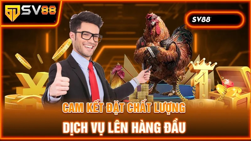 Chất lượng luôn được SV88 ưu tiên hàng đầu