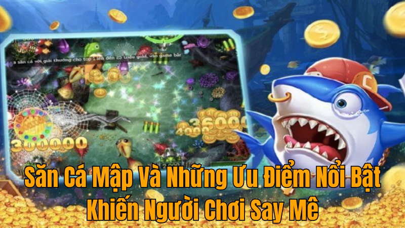 Săn Cá Mập Và Những Ưu Điểm Nổi Bật Khiến Người Chơi Say Mê